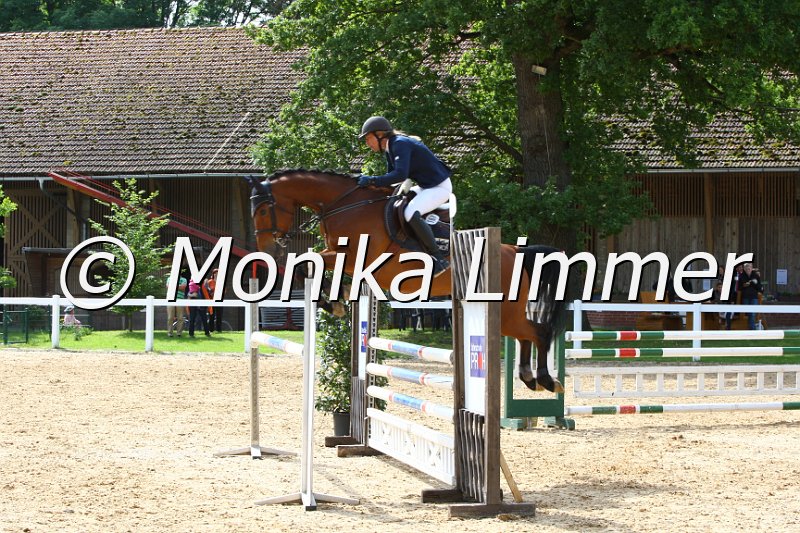 006M6772_Katja_Springpferde L.JPG